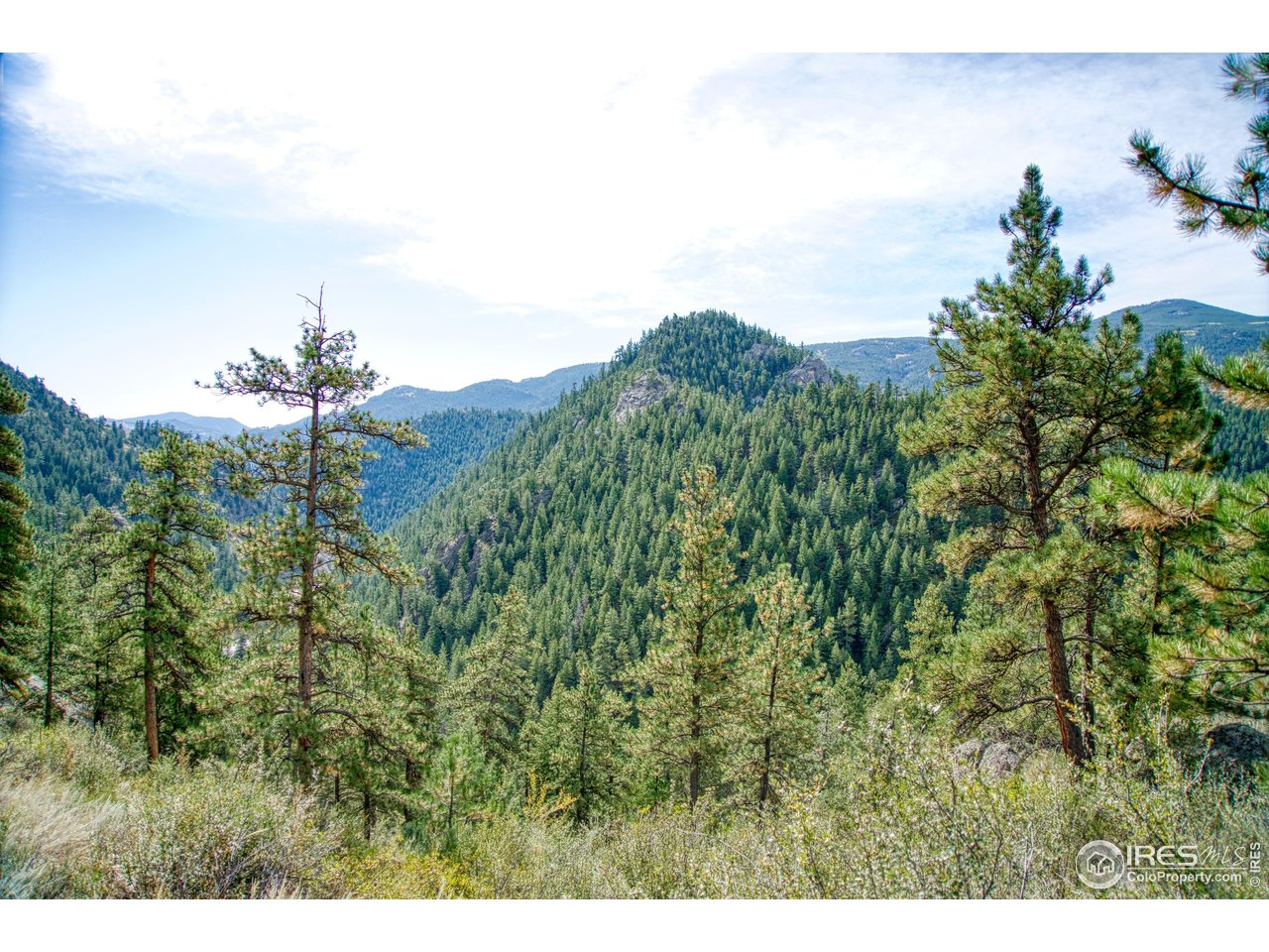 10697 County Road 43 Drake, CO 80515 - Photo 30 of 34