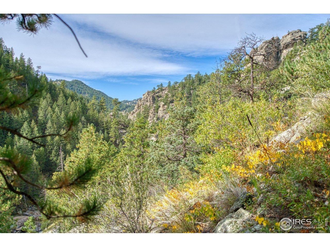 10697 County Road 43 Drake, CO 80515 - Photo 31 of 34 a view of a green field