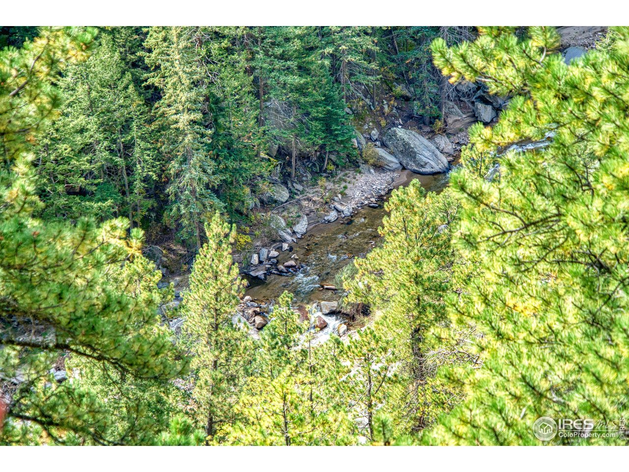 10697 County Road 43 Drake, CO 80515 - Photo 33 of 34 a view of a garden
