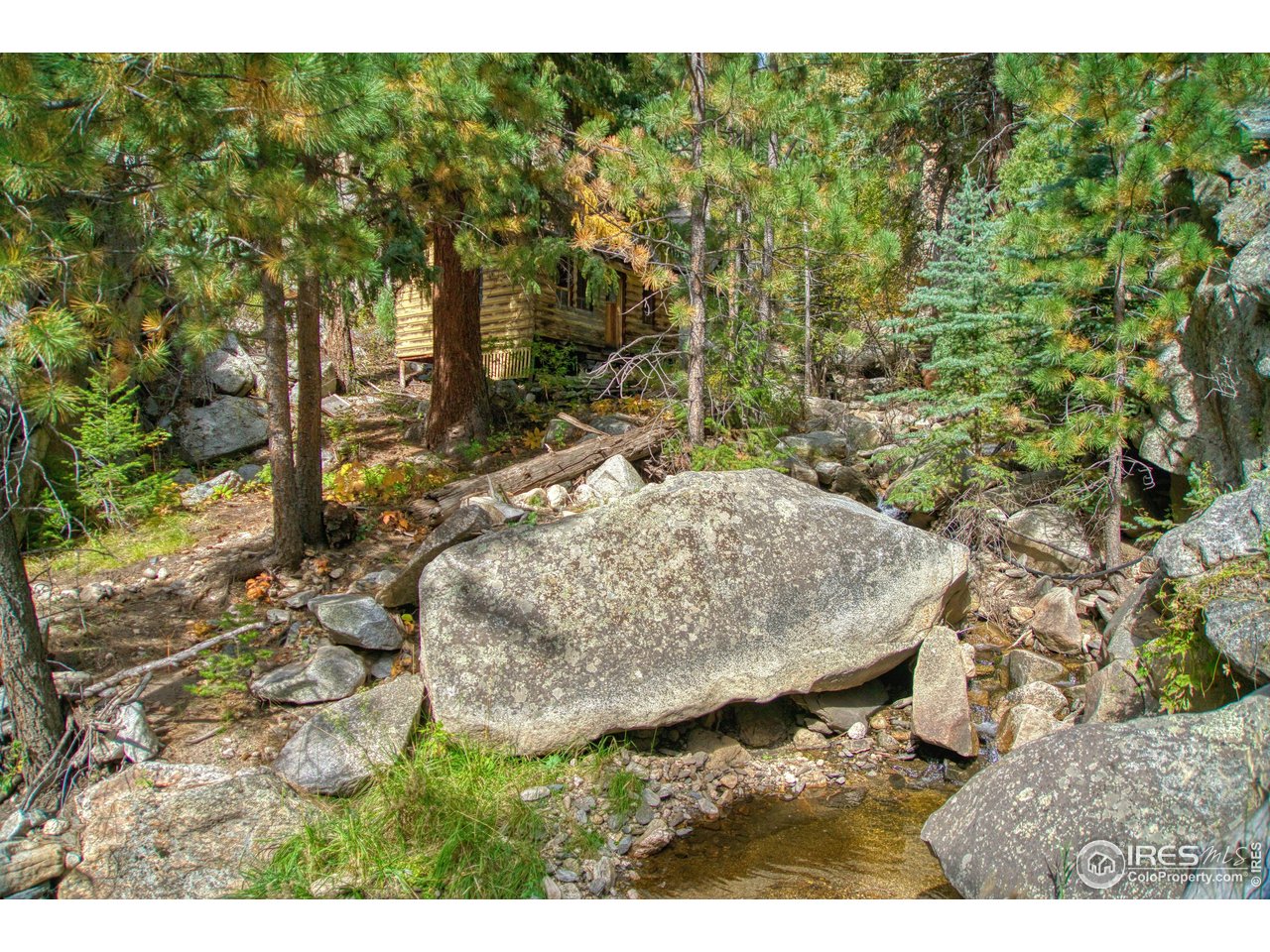 10697 County Road 43 Drake, CO 80515 - Photo 5 of 34 a view of a backyard