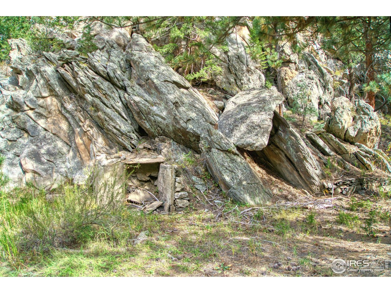 10697 County Road 43 Drake, CO 80515 - Photo 6 of 34 a view of outdoor space with seating area