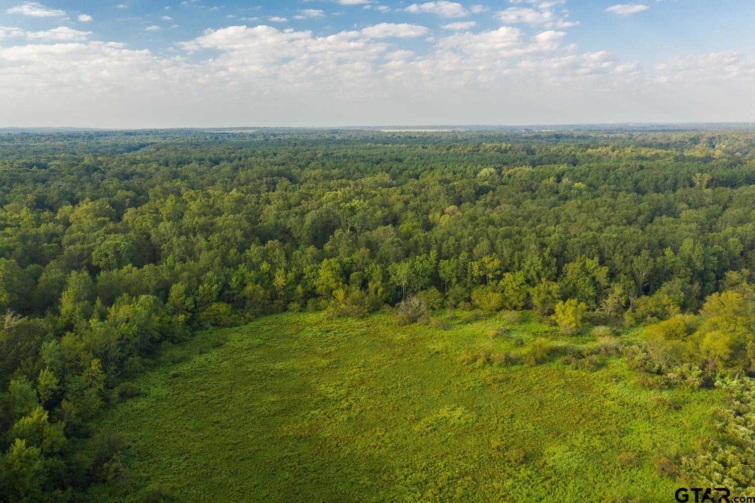 821 Gorman Oaks Road Big Sandy, TX 75755 - Photo 2 of 35 a view of a field with an ocean