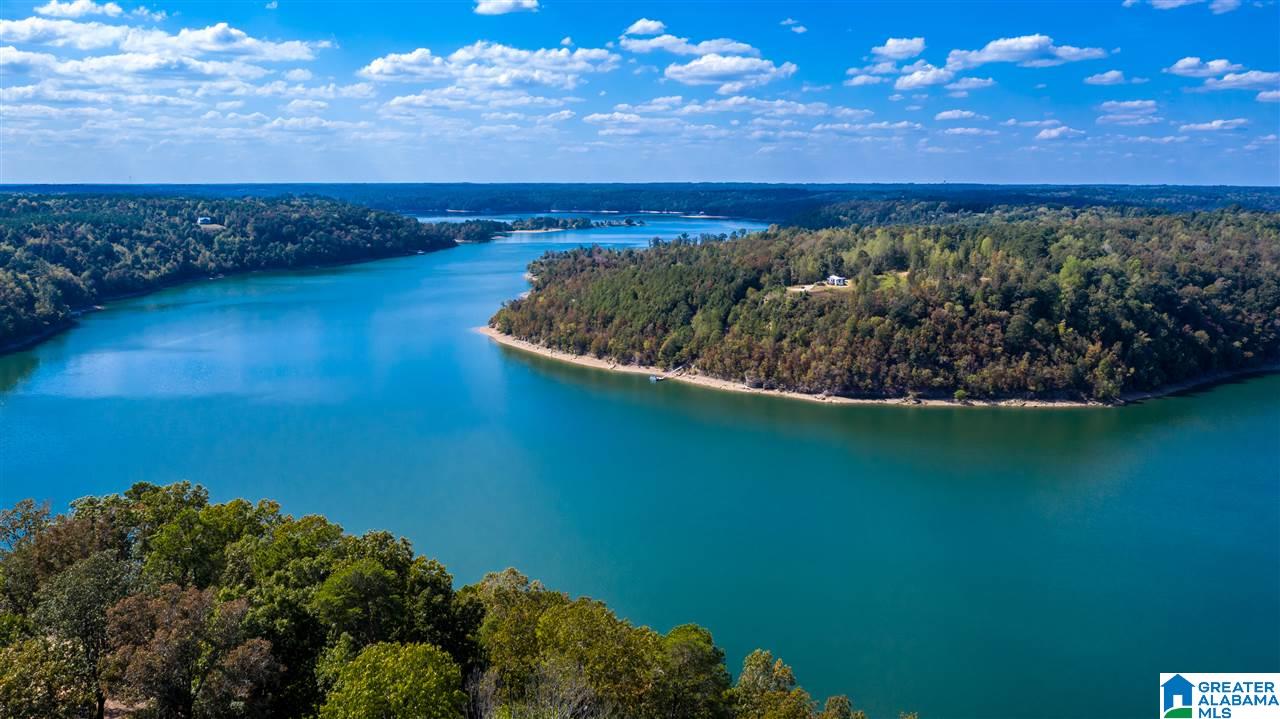 0 County Road 297 Cullman, AL 35057 - Photo 23 of 48