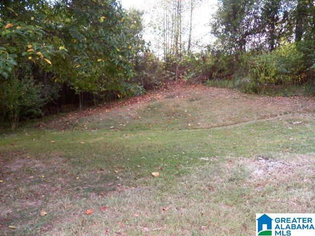 1224 Arklow Road Weaver, AL 36277 - Photo 42 of 44