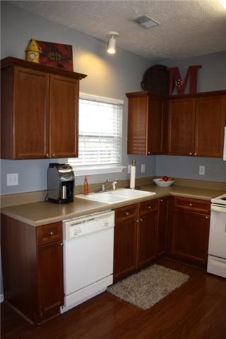 7218 Blue Ridge Drive Fairview, TN 37062 - Photo 7 of 20 Large eat in kitchen with plenty of cabinets and a large pantry.