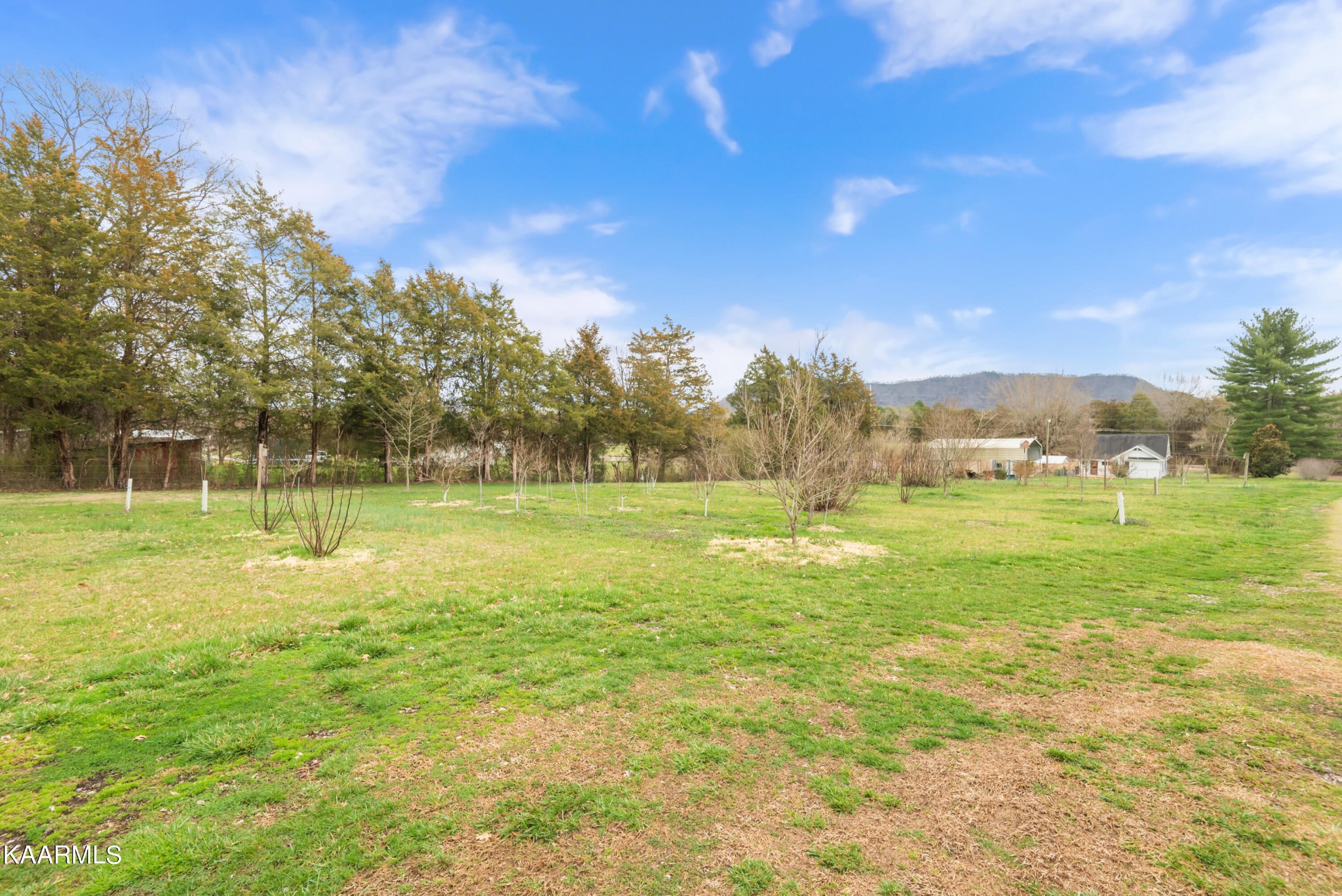 8839 East Emory Road Corryton, TN 37721 - Photo 38 of 41 Gallery Image 38