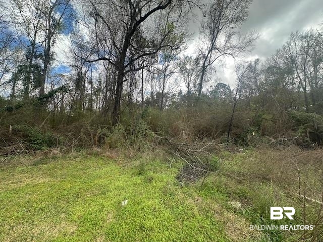 0 Jessie Road Daphne, AL 36527 - Photo 3 of 3 View of nature