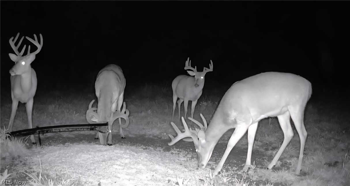 69800 Skull Fork Road Freeport, OH 43973 - Photo 48 of 50