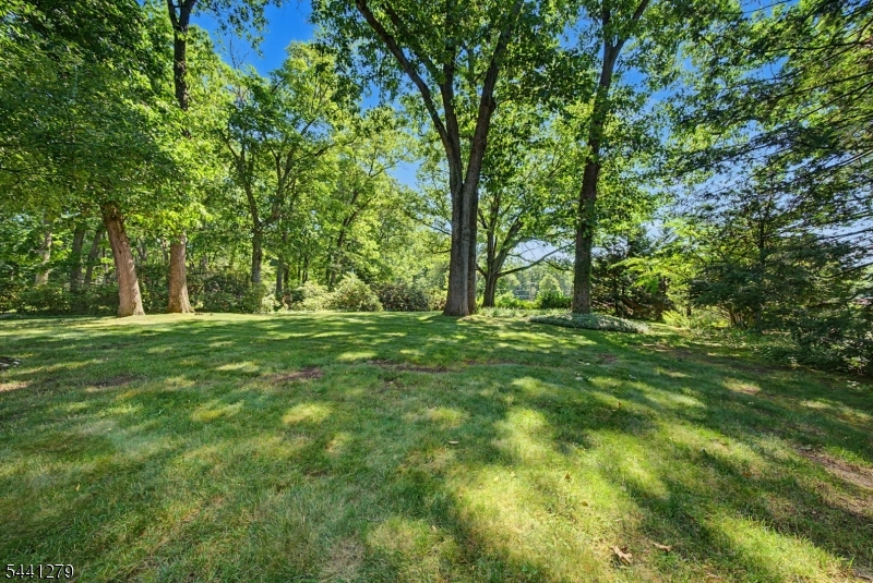 44 Glen Road Mountain Lakes, NJ 07046 - Photo 7 of 45