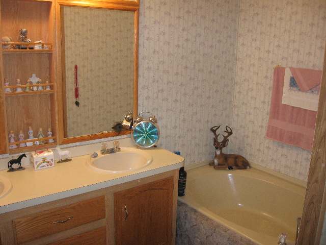 3910 East Chattaroy Road, Unit 41 Chattaroy, WA 99003 - Photo 7 of 9 Gallery Image 7
