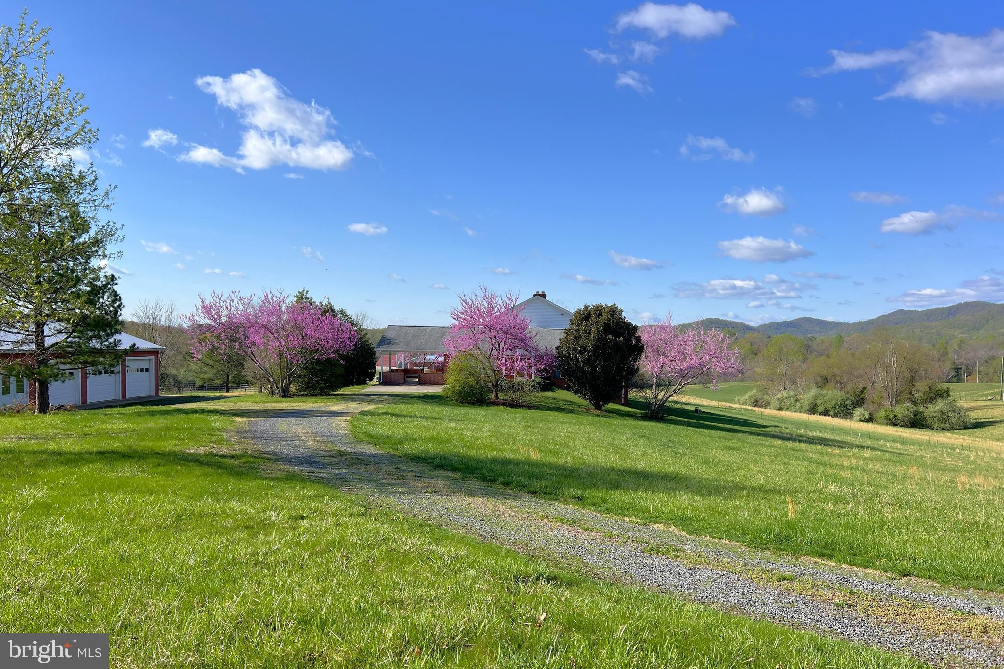 3542 Slate Mills Road Sperryville, VA 22740 - Photo 28 of 31 Driveway view in springtime