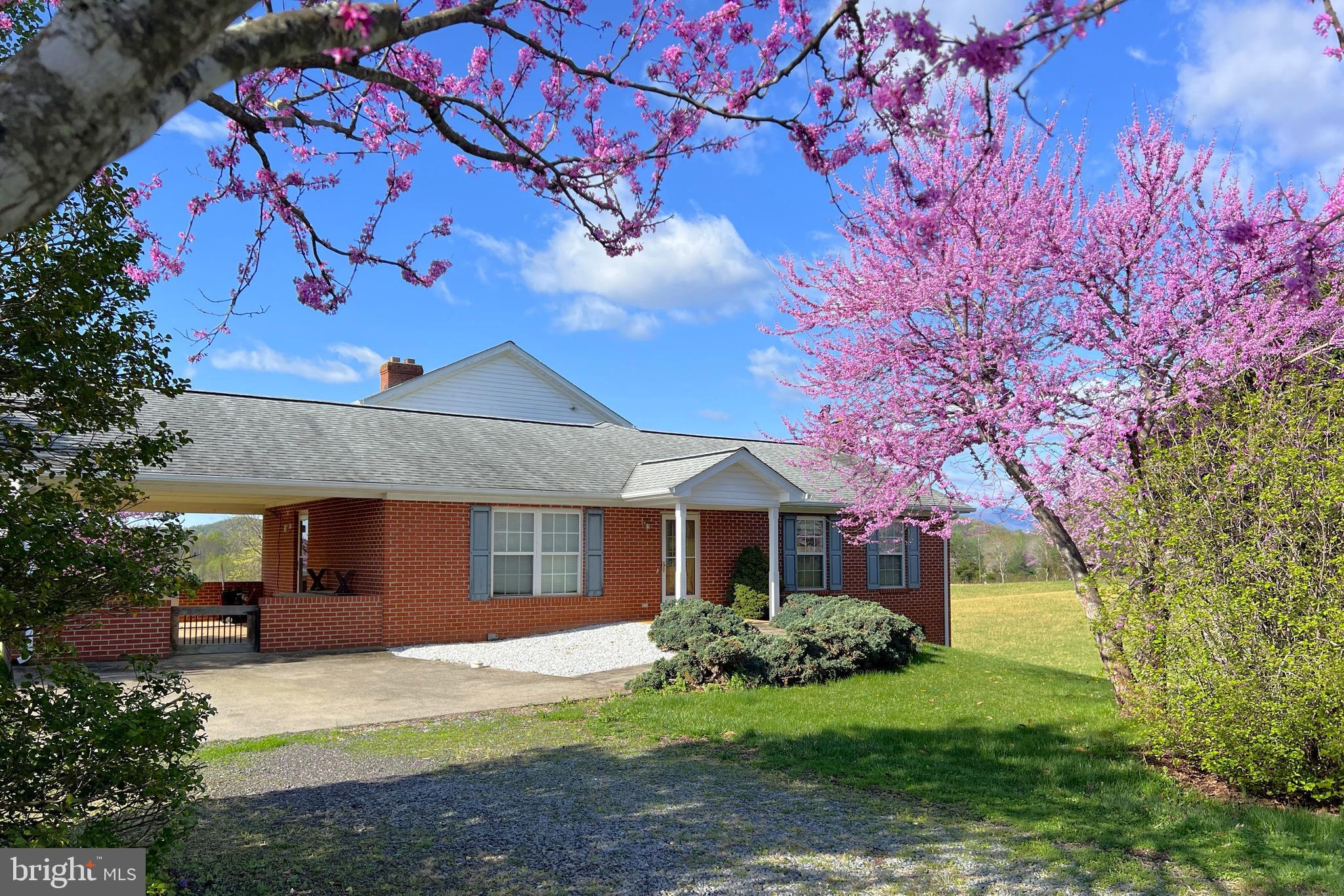 3542 Slate Mills Road Sperryville, VA 22740 - Photo 29 of 31 Front of the home in springtime