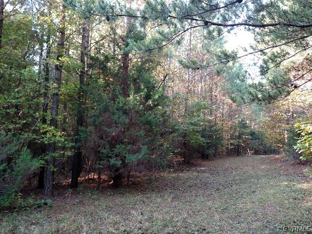 0 Elsaesser Road Meherrin, VA 23954 - Photo 2 of 12 Gallery Image 2