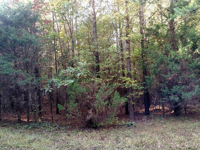 0 Elsaesser Road Meherrin, VA 23954 - Photo 3 of 12 Gallery Image 3