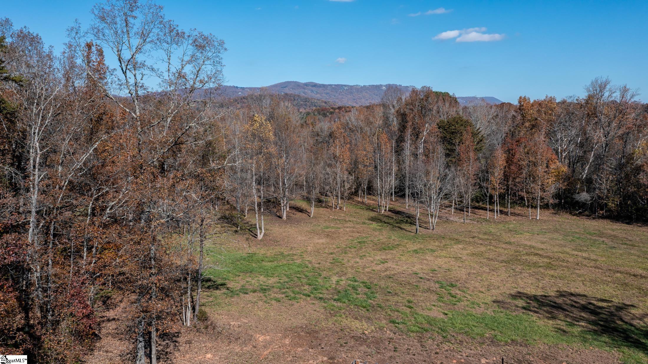 8506 North Tigerville Road Travelers Rest, SC 29690 - Photo 35 of 36 Gallery Image 35