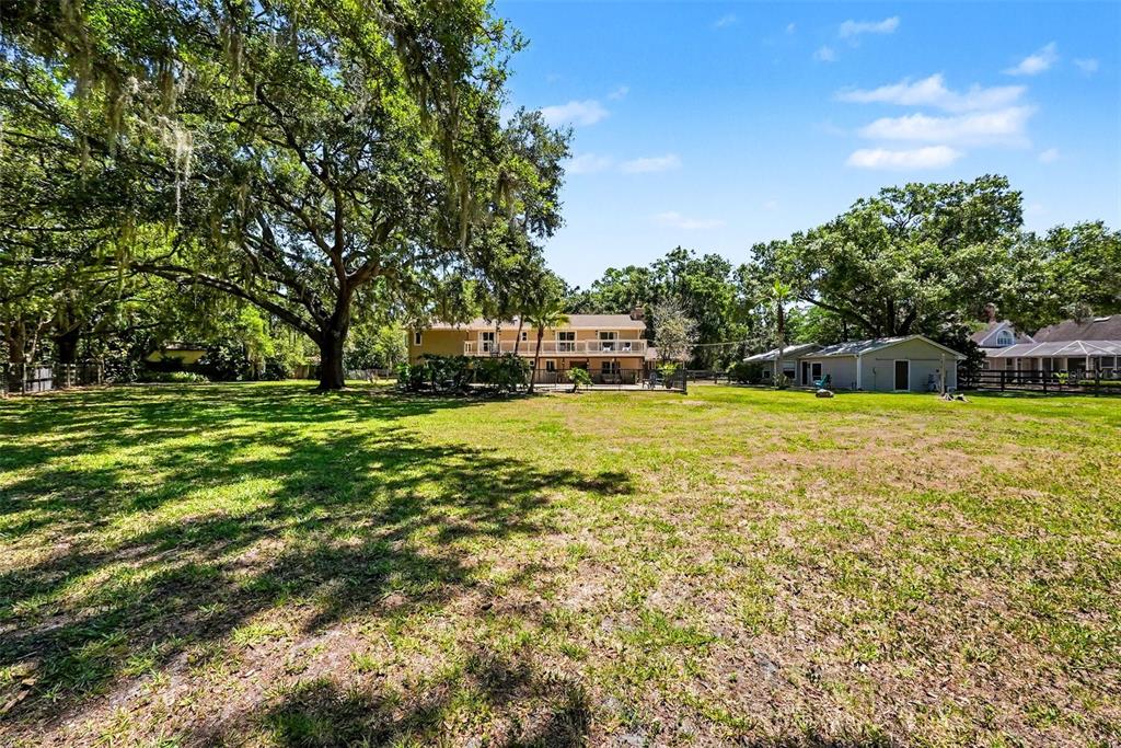 16502 Offenhaur Road Odessa, FL 33556 - Photo 40 of 54
