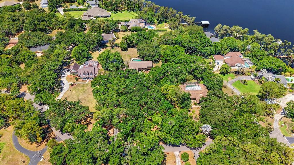 16502 Offenhaur Road Odessa, FL 33556 - Photo 52 of 54