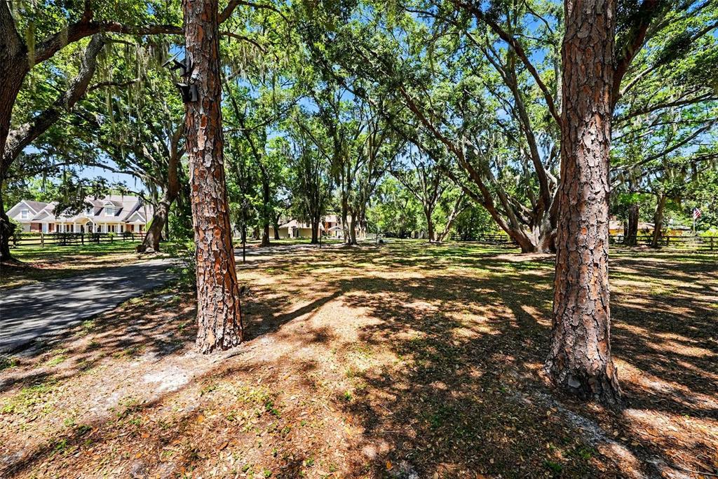 16502 Offenhaur Road Odessa, FL 33556 - Photo 54 of 54