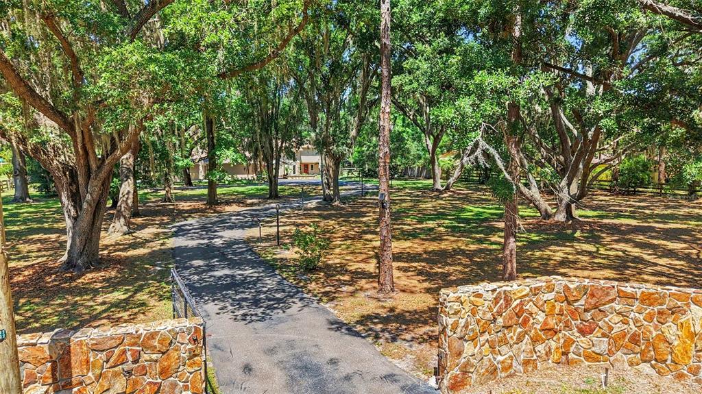 16502 Offenhaur Road Odessa, FL 33556 - Photo 7 of 54