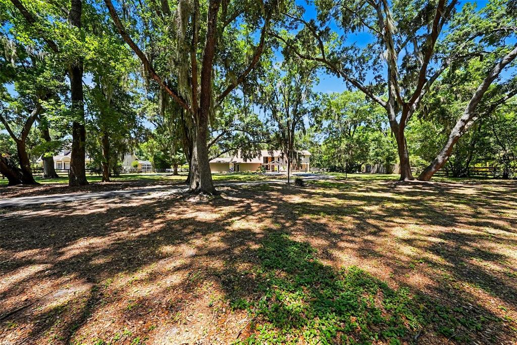 16502 Offenhaur Road Odessa, FL 33556 - Photo 8 of 54