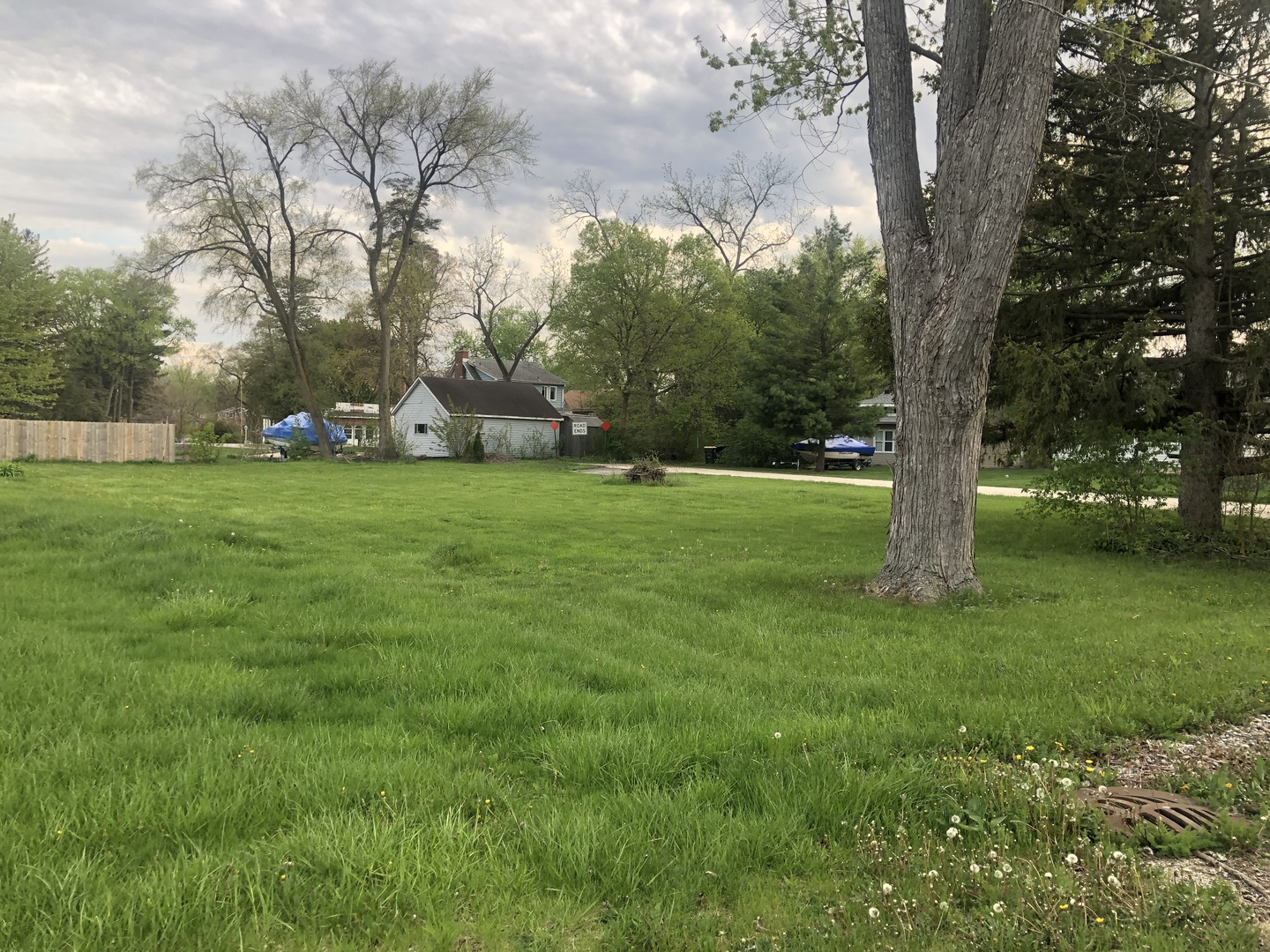 a view of a trees in a park