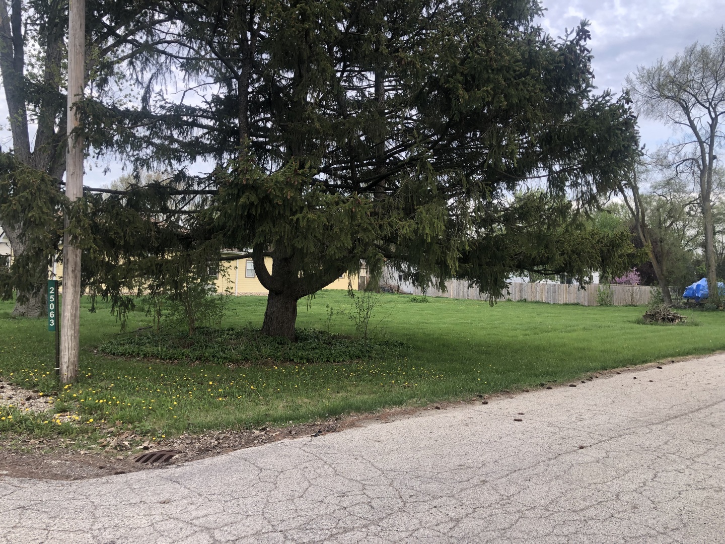 25063 3rd Antioch, IL 60002 - Photo 3 of 9 a view of a park with tree s