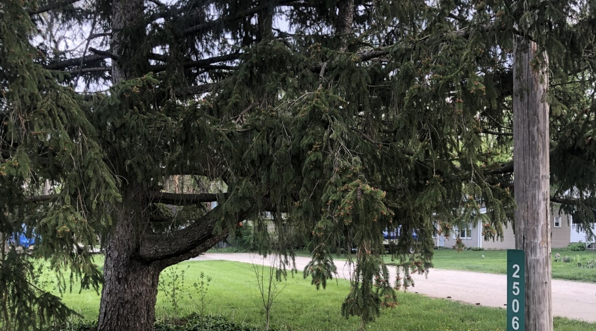 25063 3rd Antioch, IL 60002 - Photo 4 of 9 a backyard of a house with lots of green space