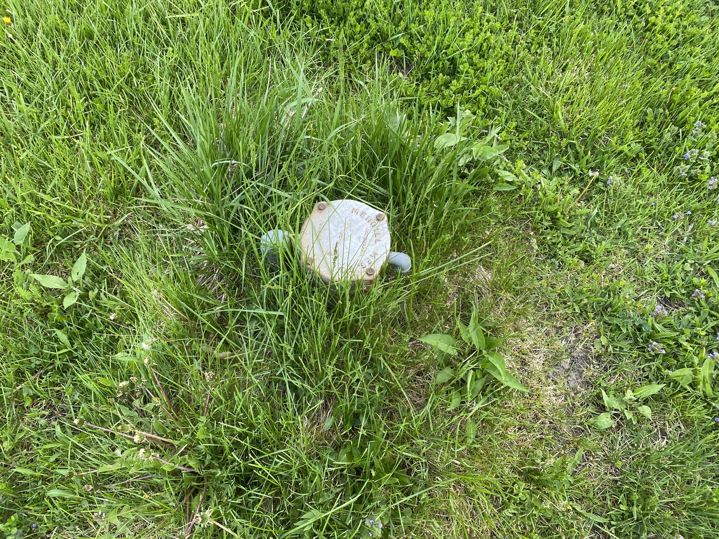 25063 3rd Antioch, IL 60002 - Photo 7 of 9 a close up of a plant in a garden