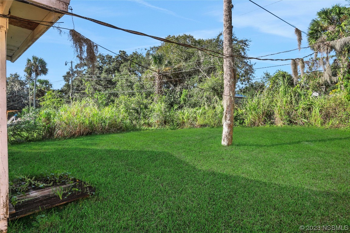 436 Palmetto Street Edgewater, FL 32132 - Photo 23 of 36 a view of a back yard