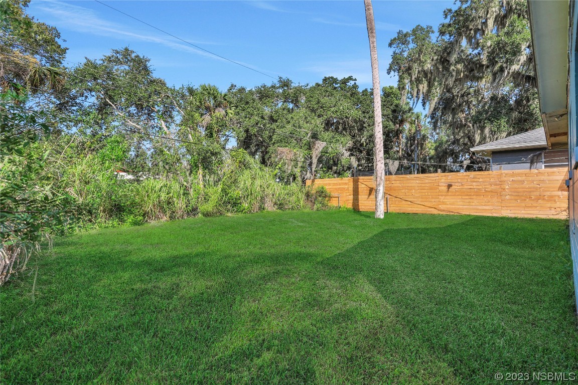 436 Palmetto Street Edgewater, FL 32132 - Photo 24 of 36 a view of a park with large trees