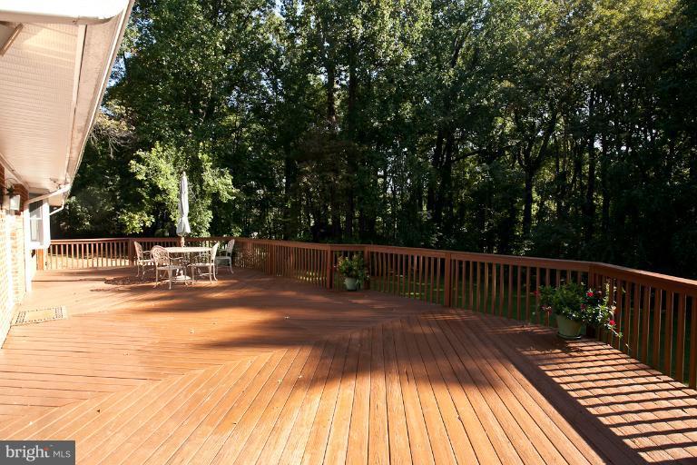 300 Stonington Road Silver Spring, MD 20902 - Photo 25 of 30 800 sq ft Oversized Deck