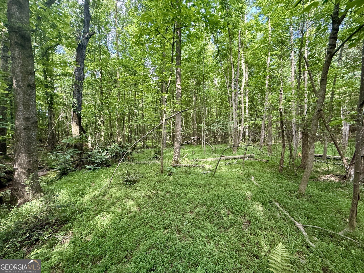 1298 Ray Weaver Road Canon, GA 30520 - Photo 37 of 40