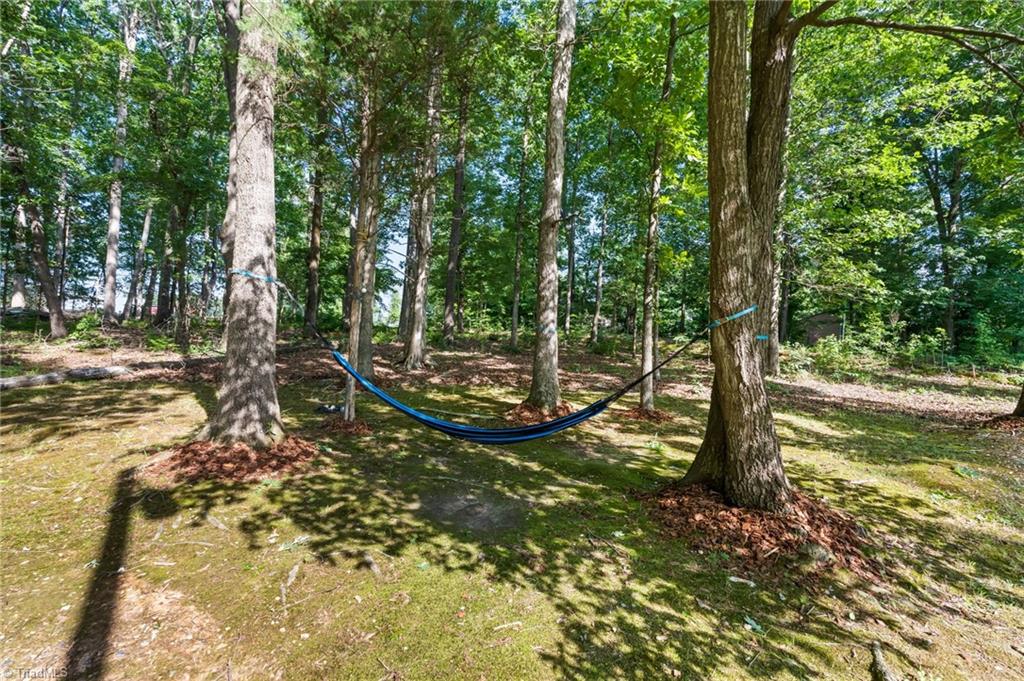 5133 Lewis Brown Road Bennett, NC 27208 - Photo 46 of 50 Gallery Image 46