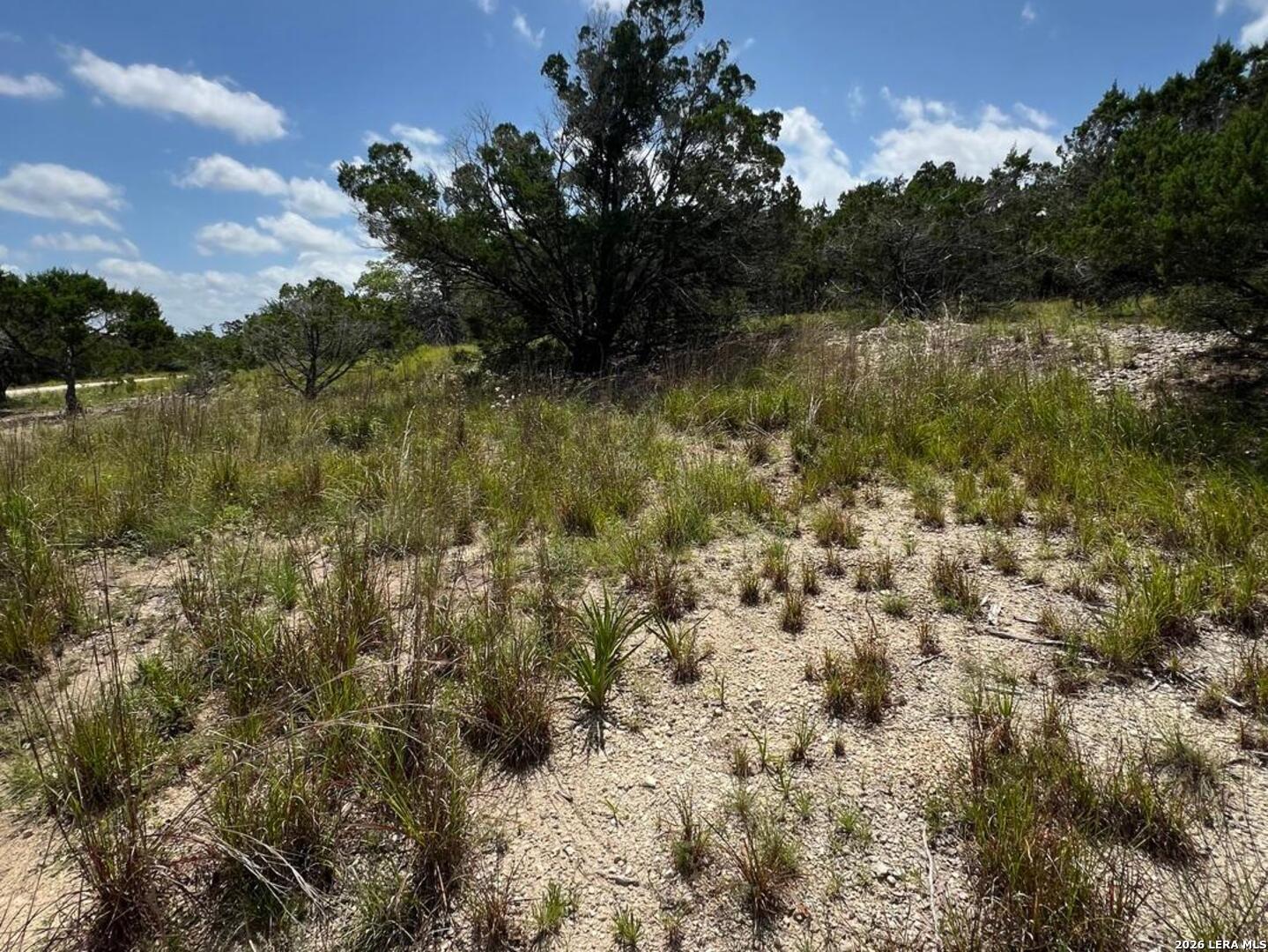 1188 Cliff Drive Spring Branch, TX 78070 - Photo 8 of 11