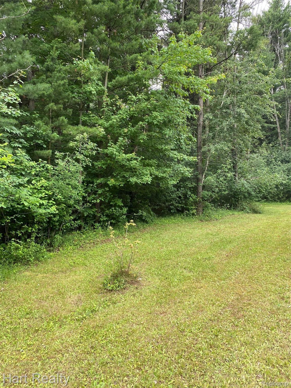 1910 South Lakeshore Road Carsonville, MI 48419 - Photo 31 of 33 B9D1C462-572F-4A8F-BAEC-D8A13B2D7A1F.jpeg