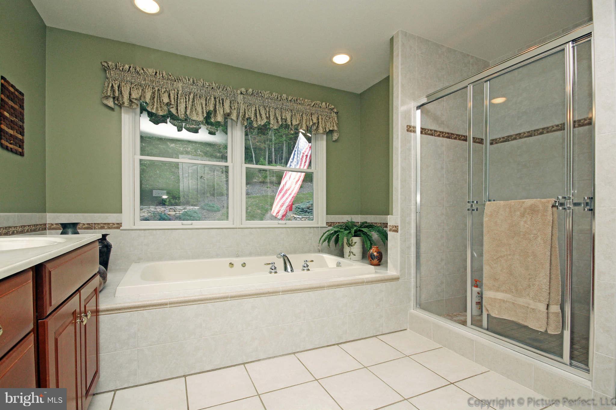 9831 Fox Road Frederick, MD 21702 - Photo 18 of 30 Circulating Tub and Shower
