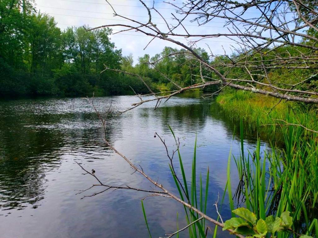 Lot 1 State Road Couderay, WI 54828 - Photo 2 of 6