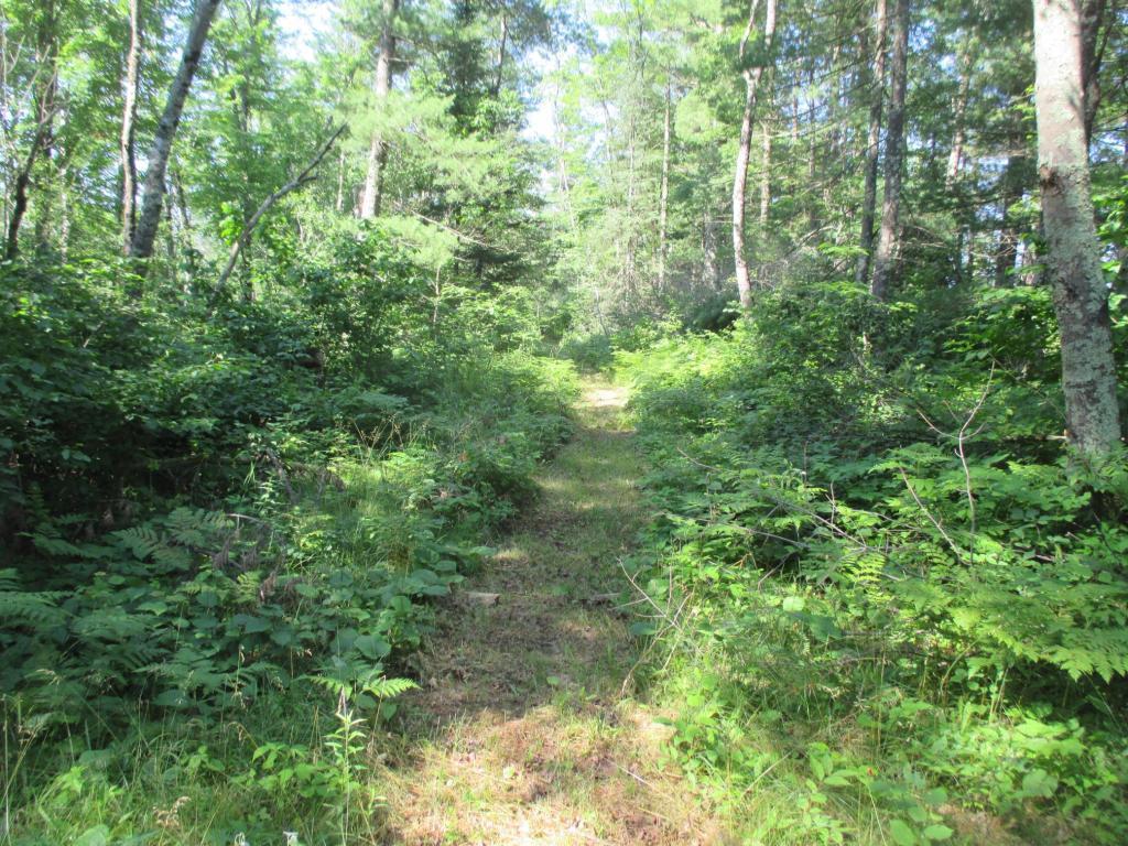Lot 1 State Road Couderay, WI 54828 - Photo 3 of 6