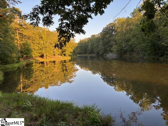 1905 McKelvey Road, Unit LOT 2 Fountain Inn, SC 29644 - Photo 3 of 12
