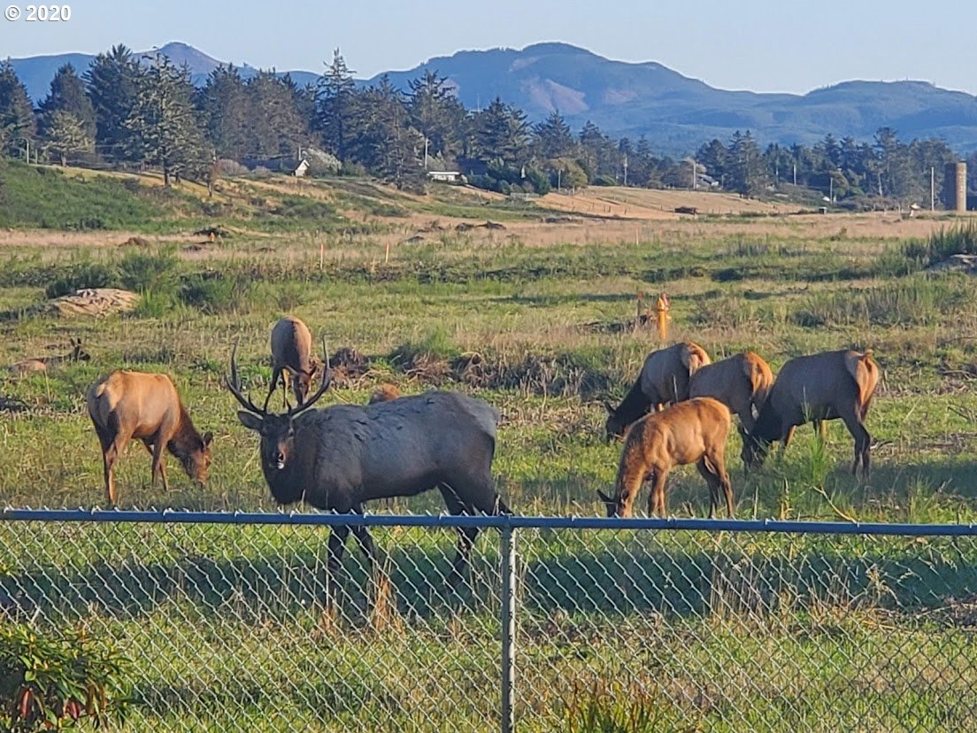 90449 Par Road Warrenton, OR 97146 - Photo 29 of 31 Gallery Image 29