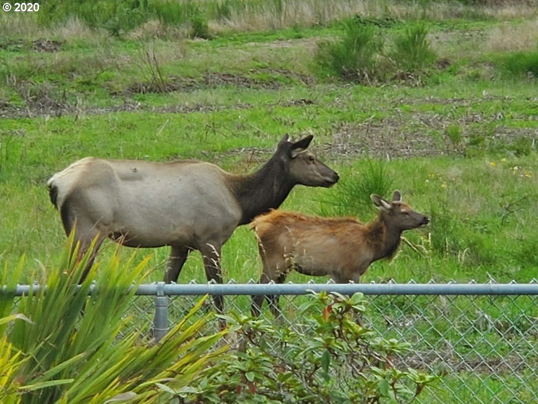 90449 Par Road Warrenton, OR 97146 - Photo 31 of 31 Gallery Image 31