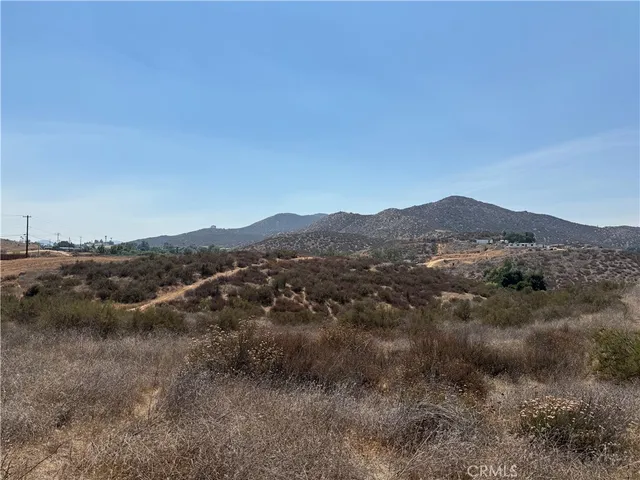 a view of a forest with mountains in the background