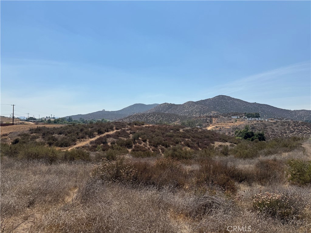 a view of a forest with mountains in the background