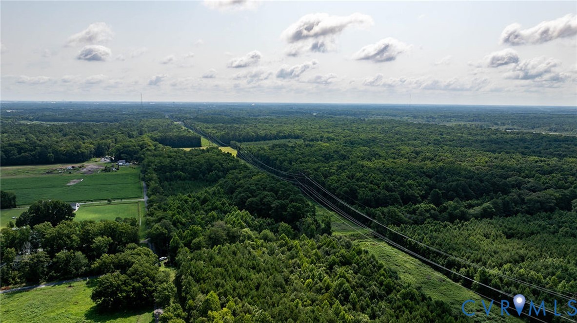 663.8-acres Peach Road Chesapeake, VA 23321 - Photo 8 of 46 Gallery Image 8