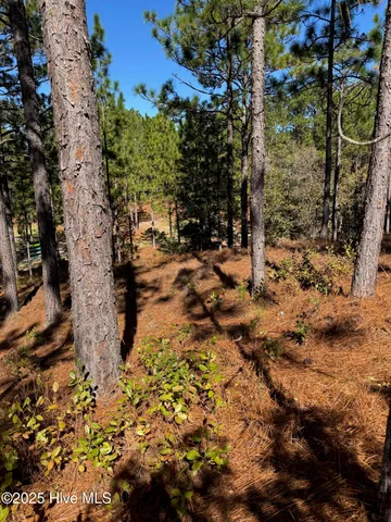 $59,000 | 106 Parker Court, West End, NC 27376