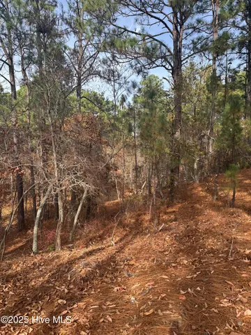 $50,000 | 106 Parker Court, West End, NC 27376