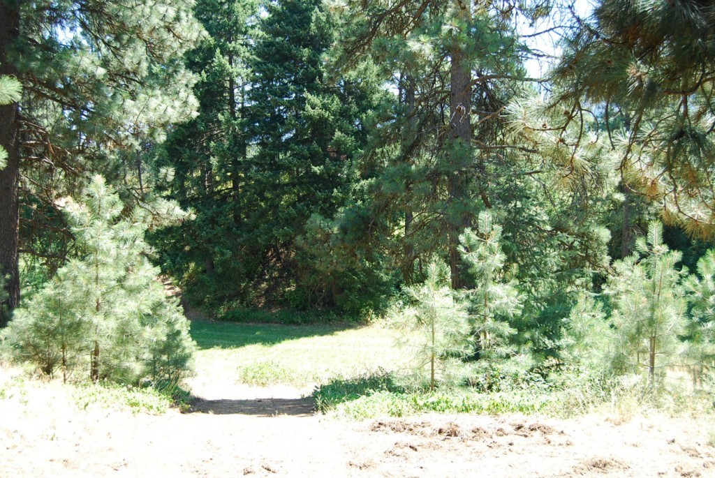 980 Groeschell Road Cle Elum, WA 98922 - Photo 4 of 20 Gallery Image 4