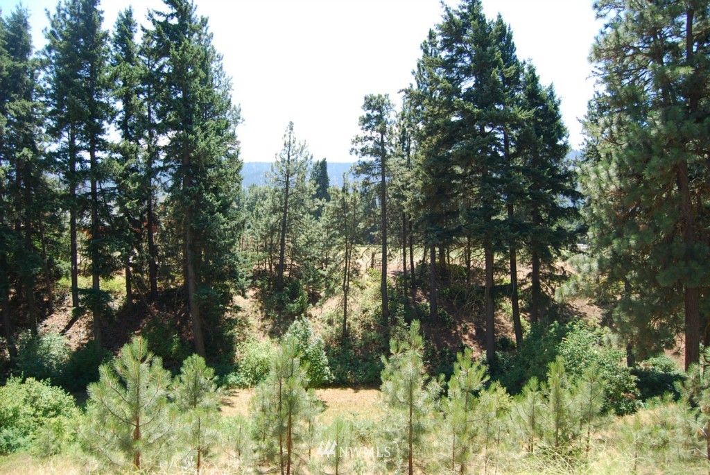 980 Groeschell Road Cle Elum, WA 98922 - Photo 5 of 20 Gallery Image 5