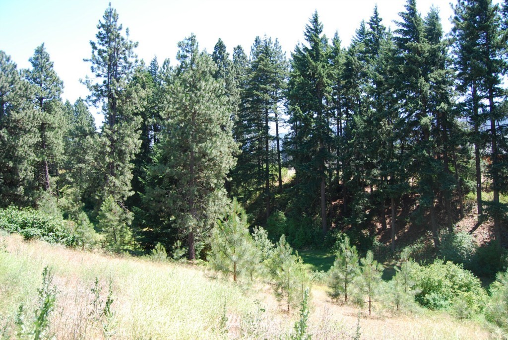 980 Groeschell Road Cle Elum, WA 98922 - Photo 6 of 20 Gallery Image 6