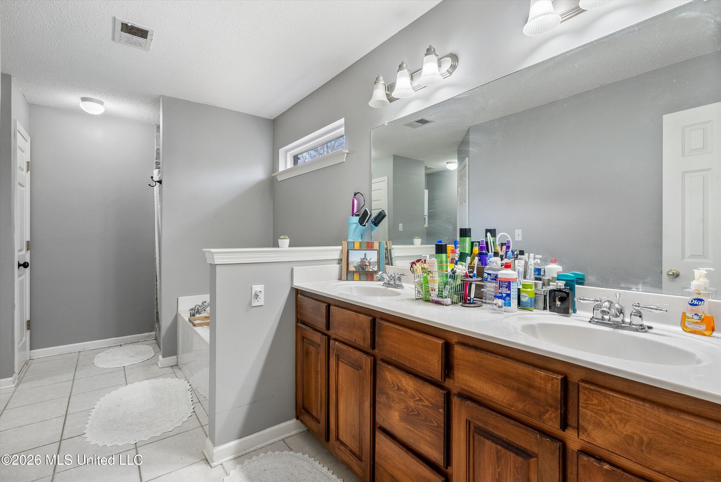 7843 Randolph Cove Walls, MS 38680 - Photo 14 of 27 18-Primary Bathroom